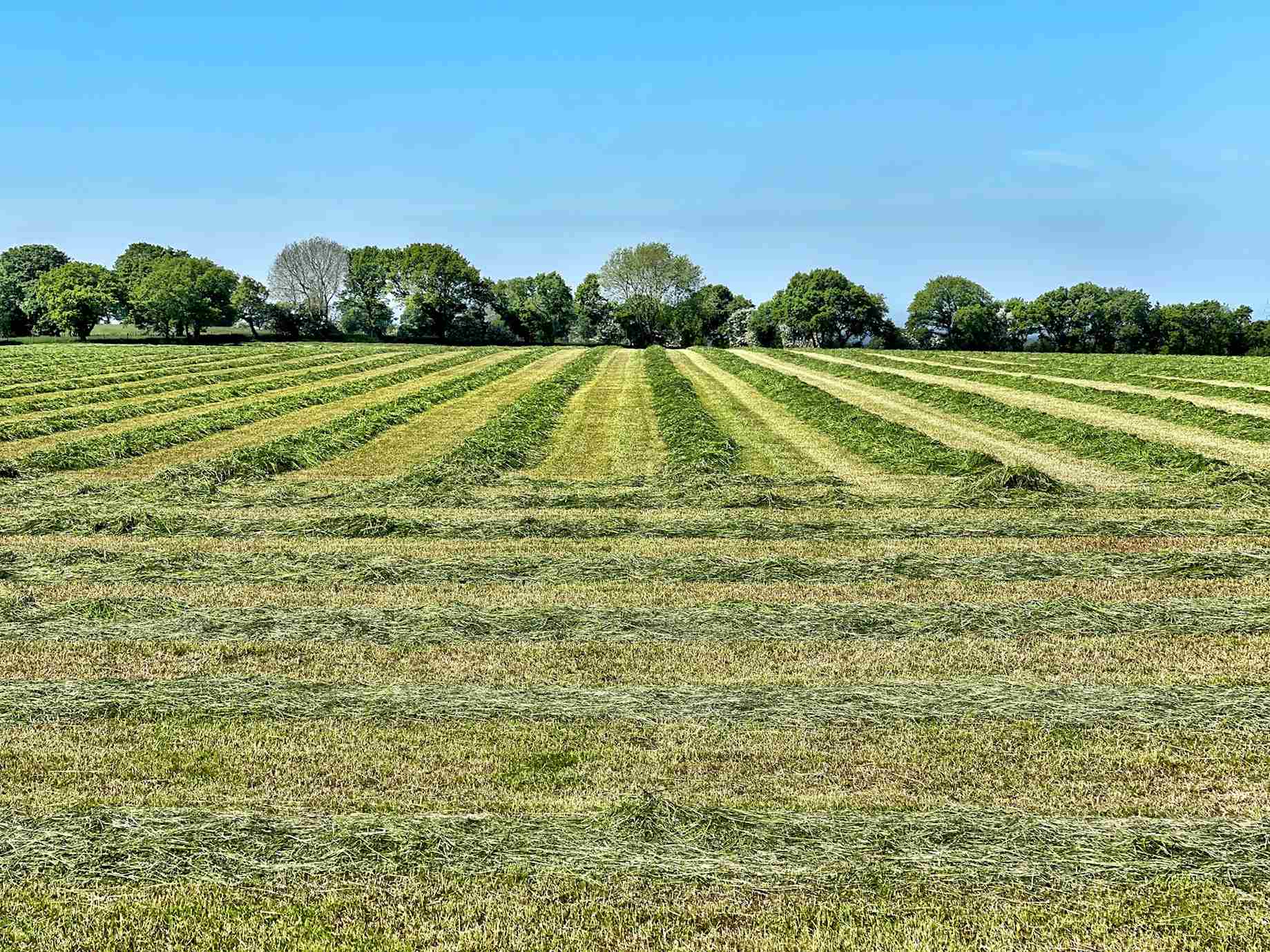 土地分割後，地上物該如何處理？