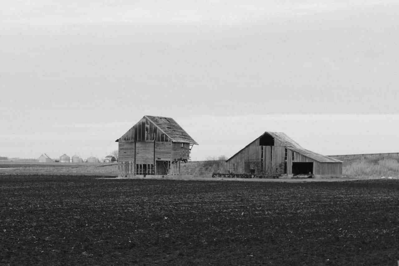 農地被佔用如何處理？律師教你合法追討的方法